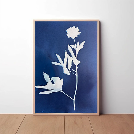 Peony 22x30 (unframed) $450