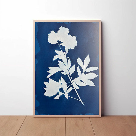 Triple Bloom 22x30 (unframed) $450